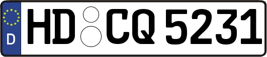 HD-CQ5231
