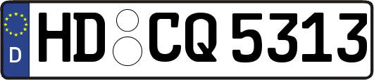 HD-CQ5313