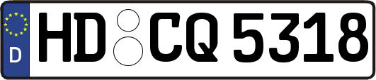 HD-CQ5318