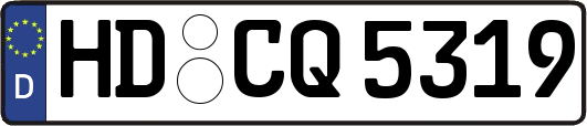 HD-CQ5319
