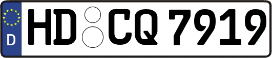 HD-CQ7919