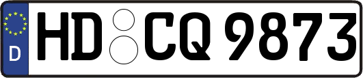 HD-CQ9873