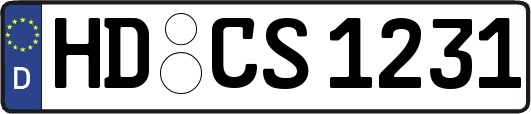 HD-CS1231