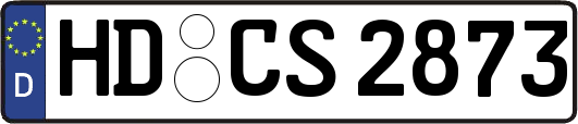 HD-CS2873