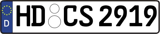 HD-CS2919
