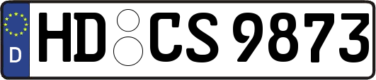 HD-CS9873