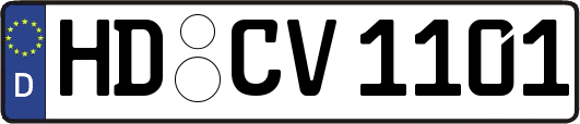 HD-CV1101