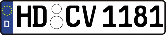 HD-CV1181