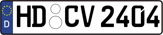 HD-CV2404
