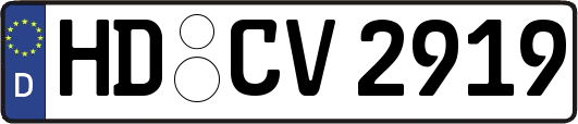 HD-CV2919