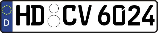 HD-CV6024