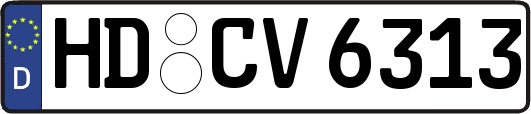 HD-CV6313