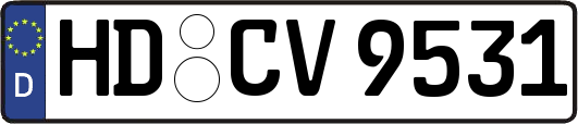 HD-CV9531