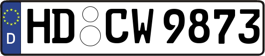 HD-CW9873