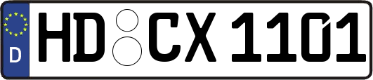 HD-CX1101