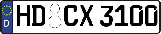HD-CX3100