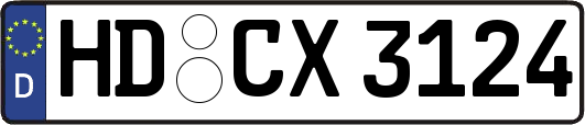 HD-CX3124