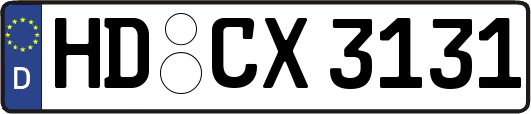HD-CX3131