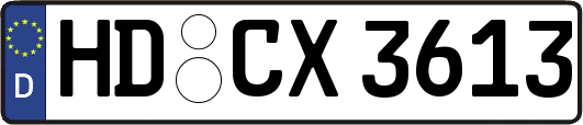 HD-CX3613