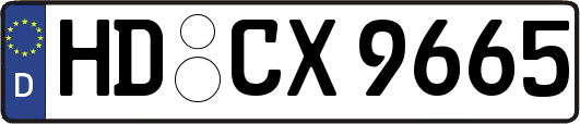 HD-CX9665
