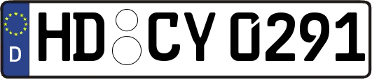 HD-CY0291