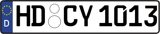 HD-CY1013