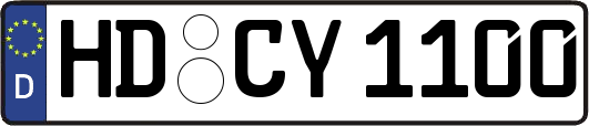 HD-CY1100