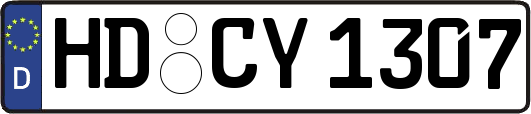 HD-CY1307