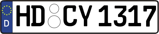 HD-CY1317