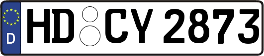 HD-CY2873