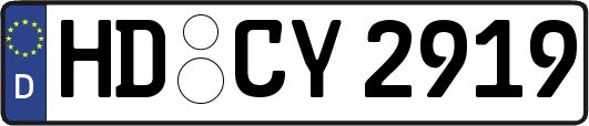 HD-CY2919