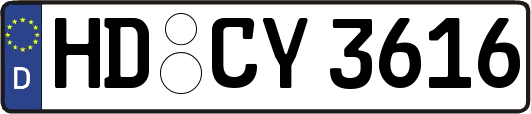 HD-CY3616