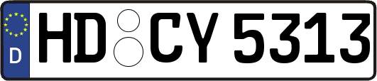 HD-CY5313