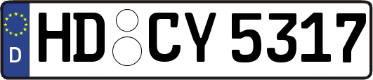 HD-CY5317