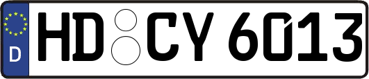 HD-CY6013