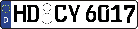 HD-CY6017