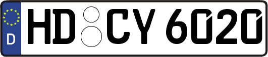HD-CY6020