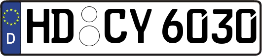 HD-CY6030