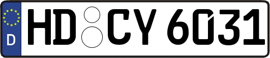 HD-CY6031