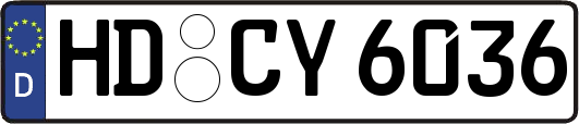 HD-CY6036