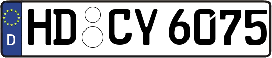 HD-CY6075