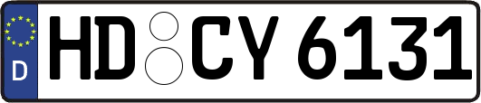 HD-CY6131