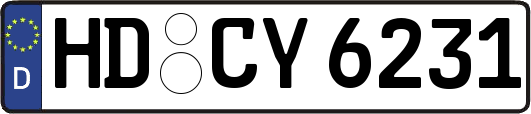 HD-CY6231