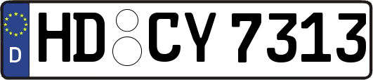 HD-CY7313