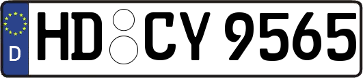 HD-CY9565