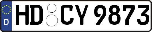 HD-CY9873