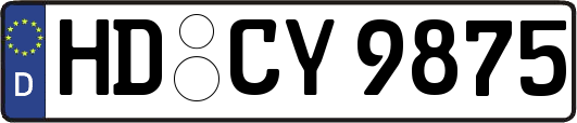 HD-CY9875