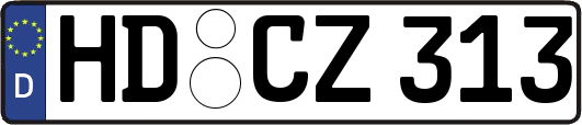 HD-CZ313
