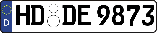 HD-DE9873