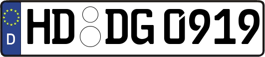 HD-DG0919